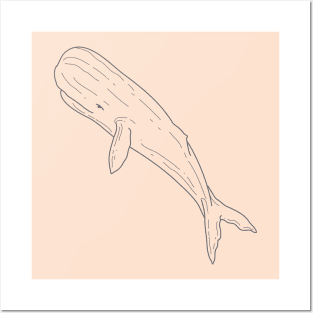 Sperm Whale 5 Posters and Art